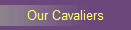 Our Cavaliers