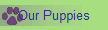 Our Puppies